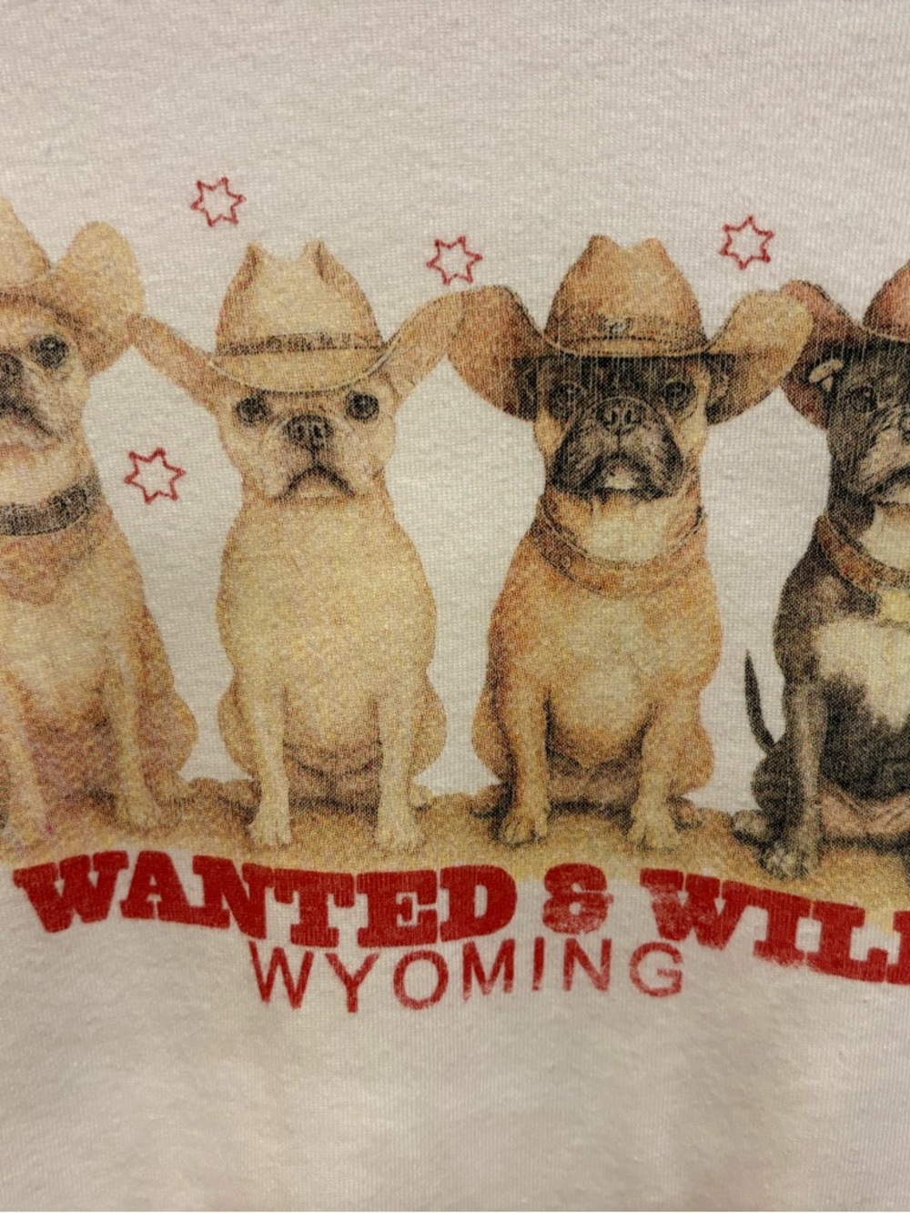 Urban Outfitters French bulldog white t shirt